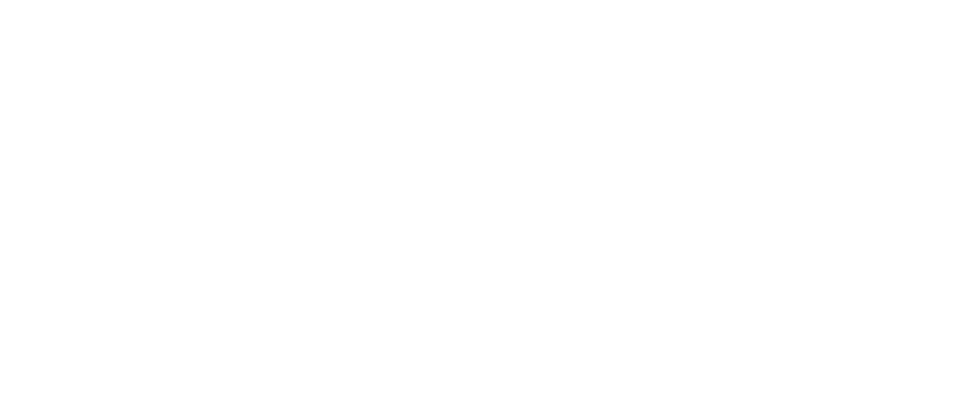Figmenta company website