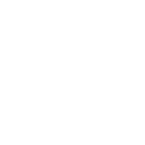 System Professional Logo